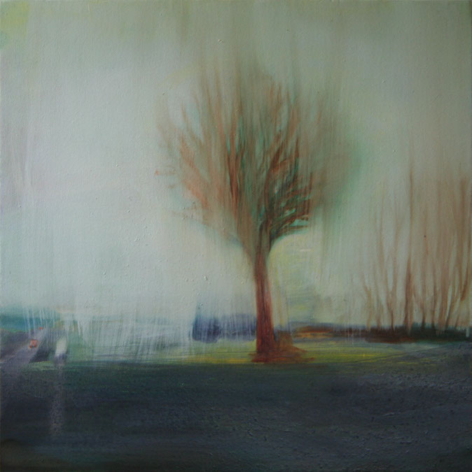 landschaft_16