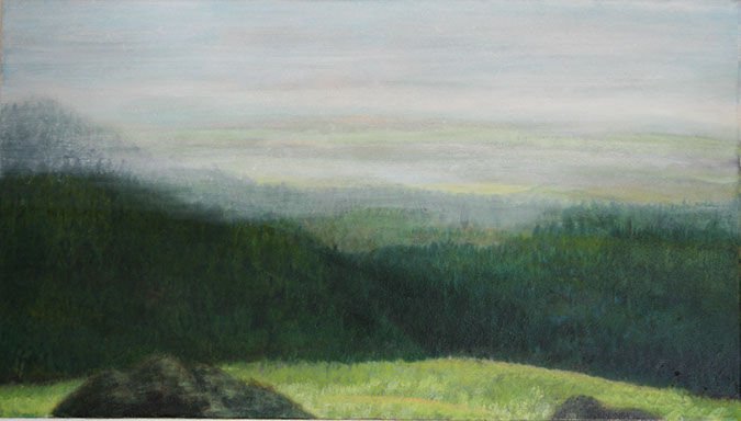 landschaft_28