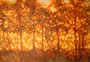 landschaft_15
