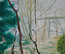 landschaft_24